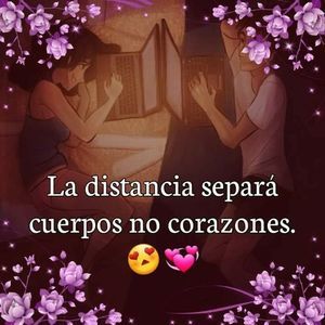 Meet your Posher, Ordoñez martinez noemy